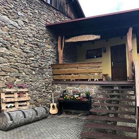 Spicak - U Barabu Apartment Zelezna Ruda Luaran gambar