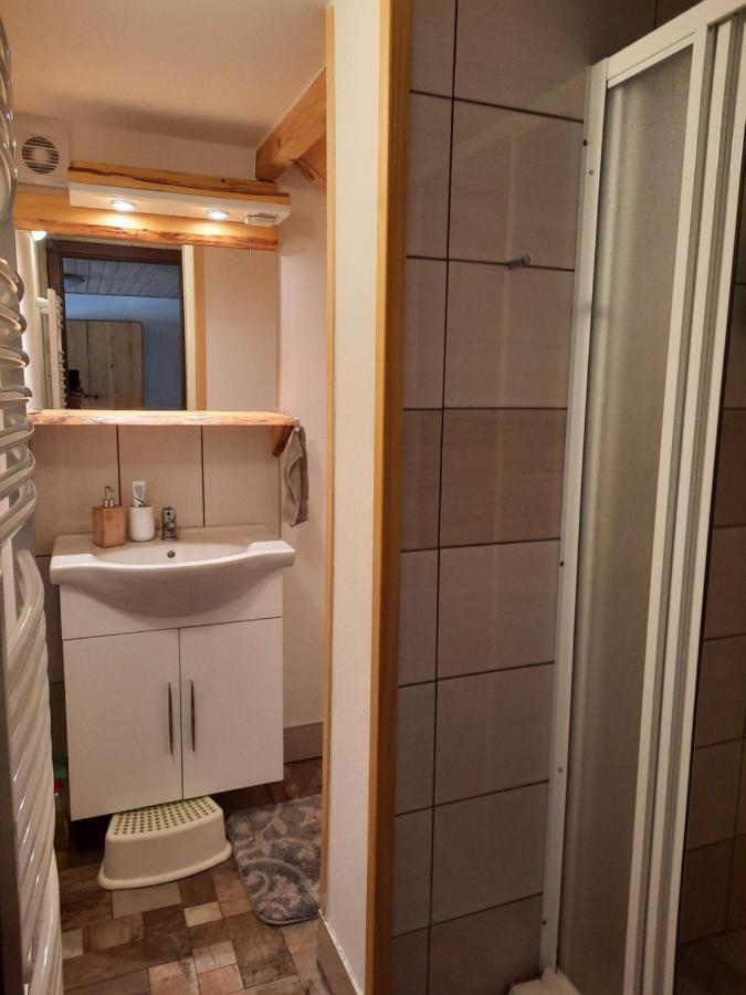 Spicak - U Barabu Apartment Zelezna Ruda Luaran gambar