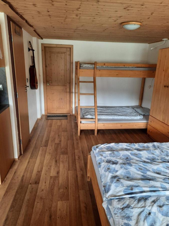 Spicak - U Barabu Apartment Zelezna Ruda Luaran gambar