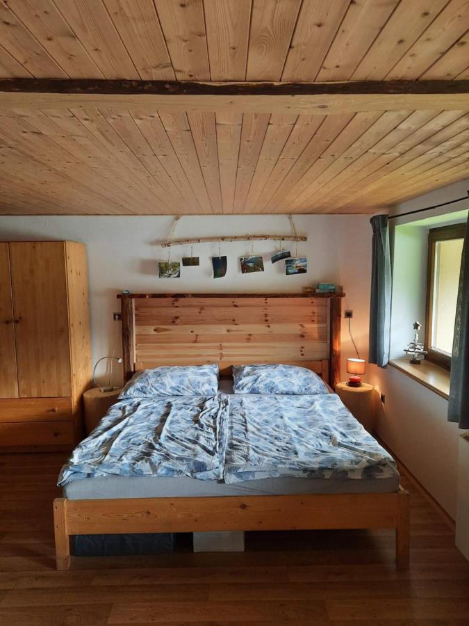 Spicak - U Barabu Apartment Zelezna Ruda Luaran gambar