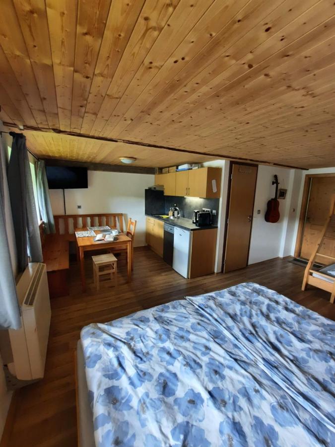 Spicak - U Barabu Apartment Zelezna Ruda Luaran gambar